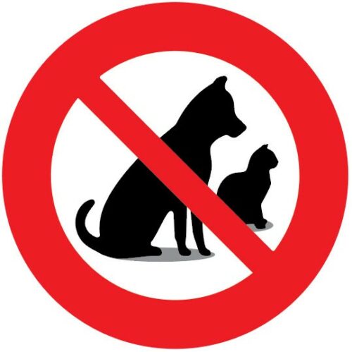 sticker autocollant interdit aux animaux interdit aux chiens interdiction