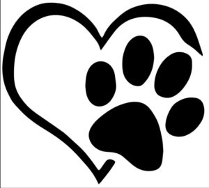 autocollant animal a bord coeur patte chien chat voiture