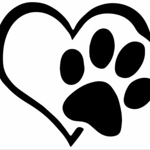 autocollant animal a bord coeur patte chien chat voiture