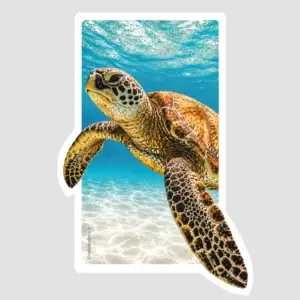 Sticker tortue marine style océan tropical